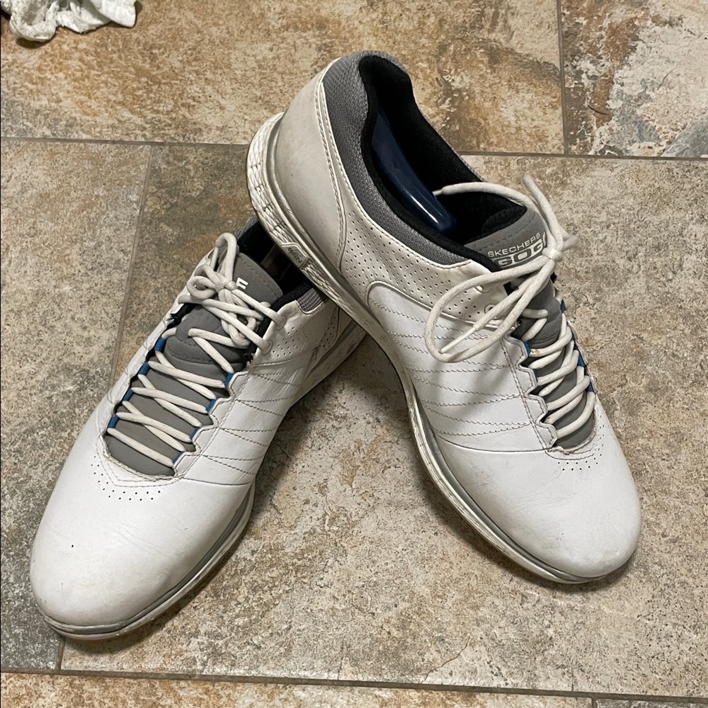 Skechers Men's GoGolf Shoes